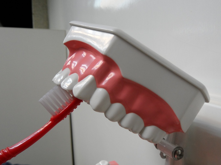 Proper Teeth Brushing Procedures Step 4