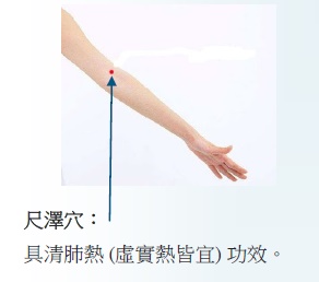 尺澤穴：位於手肘外側的凹陷處，具清肺（虛實熱皆宜）功效